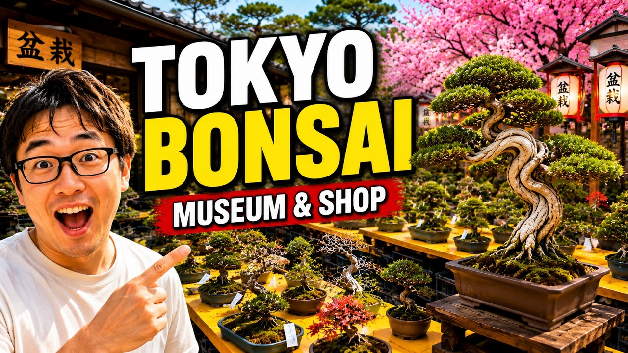 Ueno Tokyo Bonsai Shop