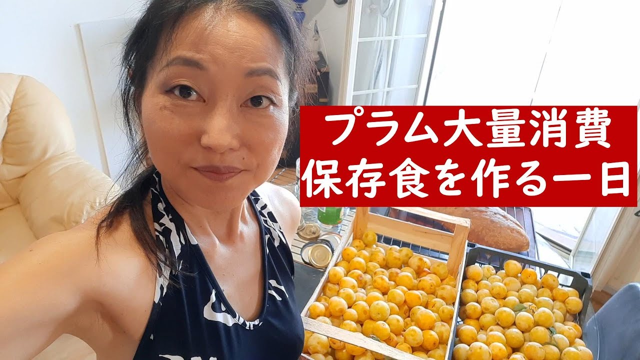 大量のプラムを処理する一日。塩漬け、冷凍、ジャム作り【果物大量消費】