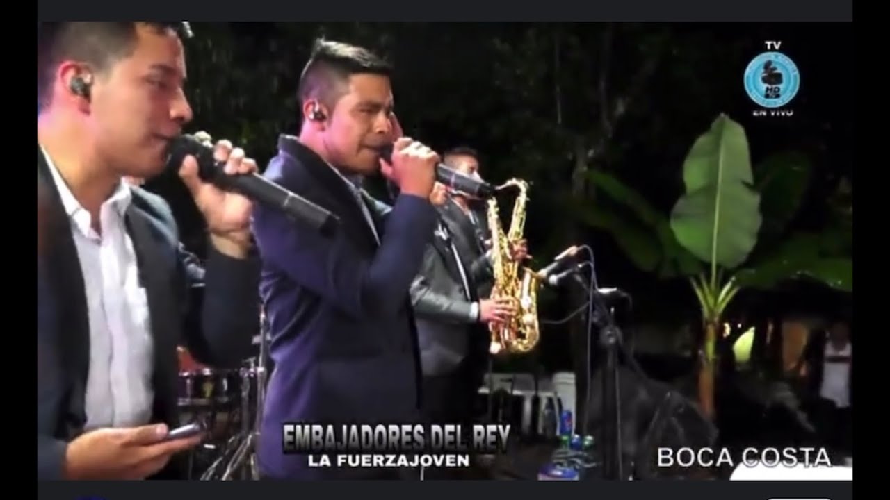 EMBAJADORES DEL REY, La fuerza joven