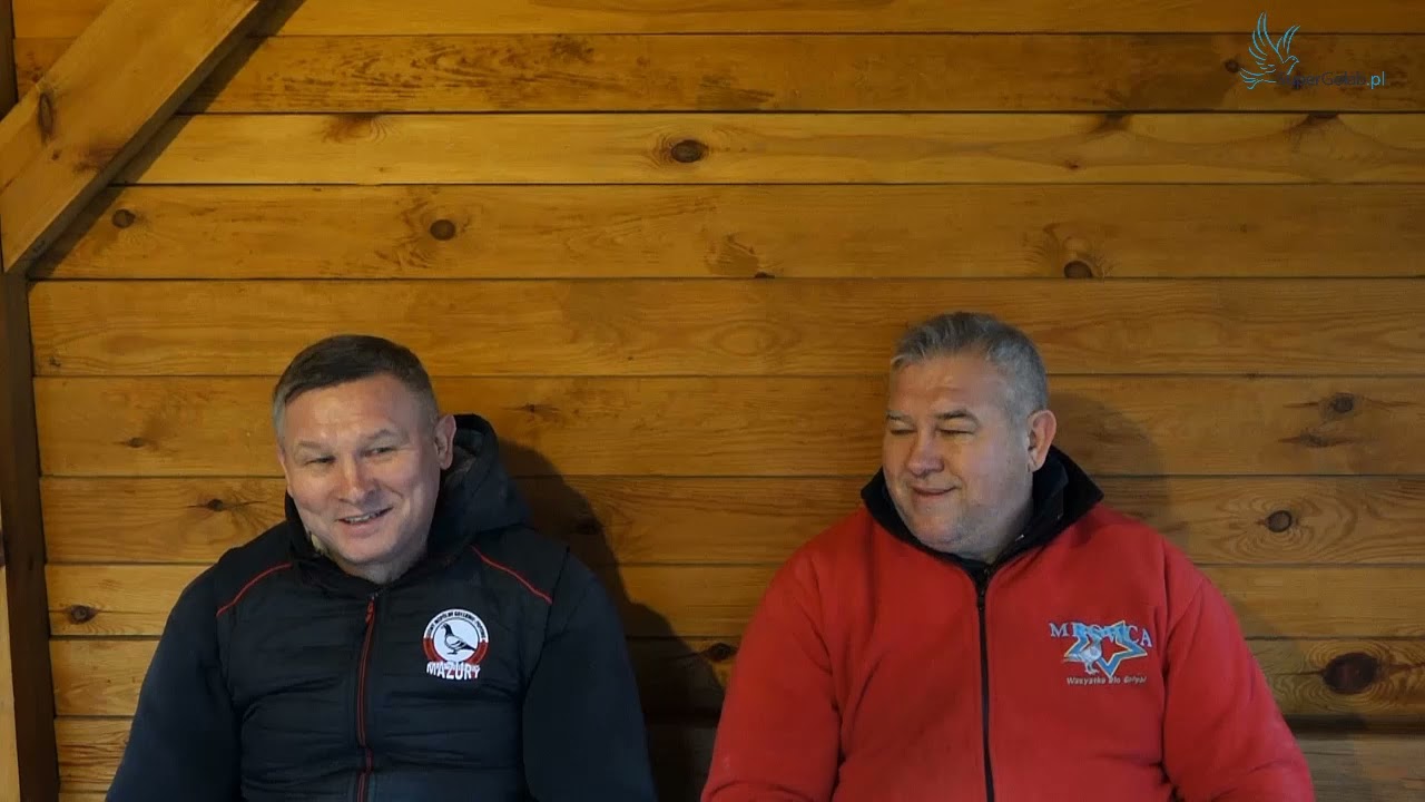 Paweł & Robert Baranowski - Aukcja Gołębi