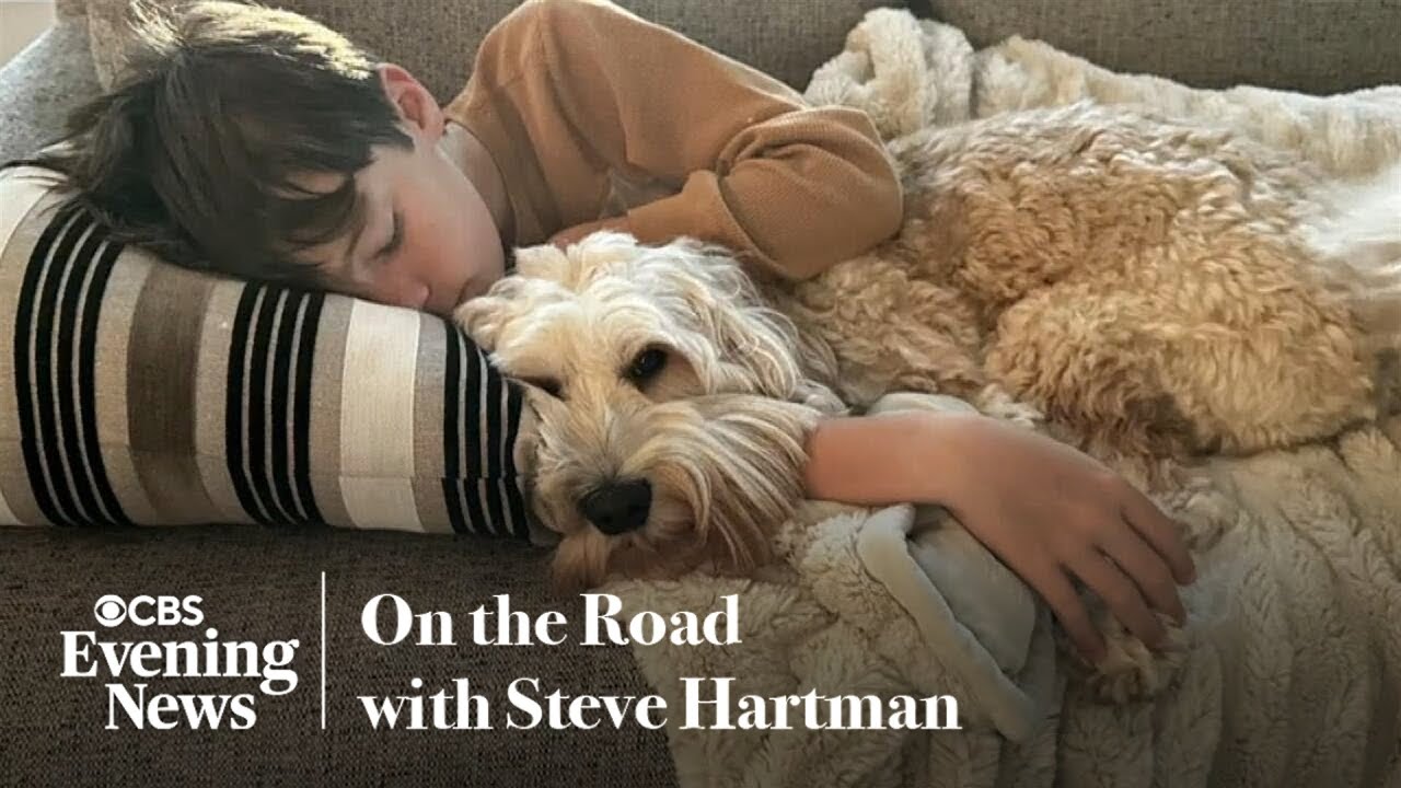Family's goodbye to beloved dog becomes a lesson in letting go