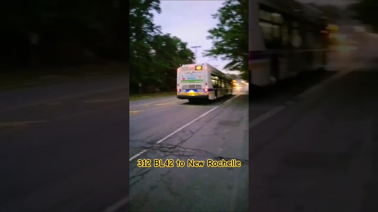 #beelinebus: 312 BL42 @ Sandford Blvd #youtubeshorts #music #mountvernon #rushhour #busfanning