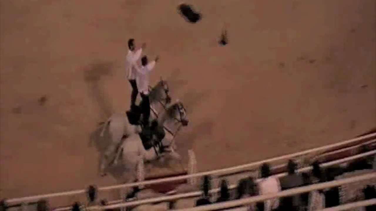 Les Voltigeurs d'Andalucia Spectacle Equestre