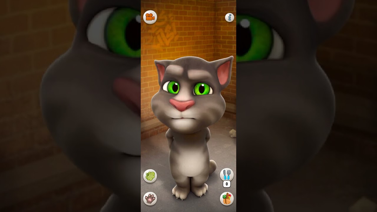 Talking Tom Cat Part 13794 #Shorts