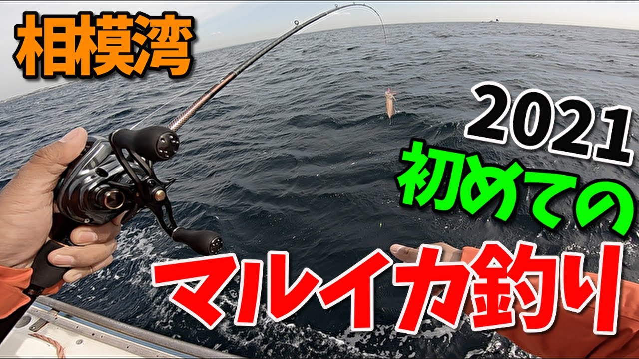 マルイカ🦑釣りデビュー🔰2021年 初心者が始めるマルイカ釣り🎣