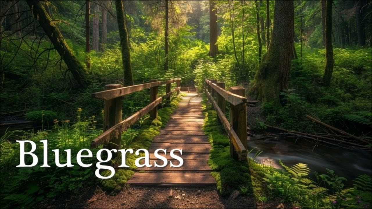 Old Bend in the River - Bluegrass Instrumental