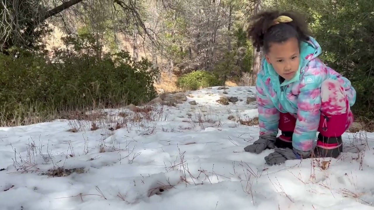 The tribe tries and fine a snow spot
