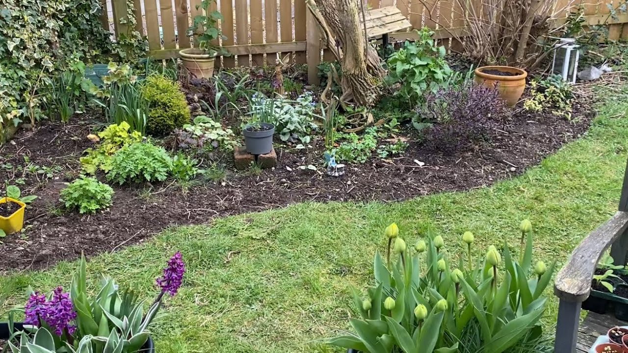Garden Tour In April Patio and Fence Border | What’s Growing In April #gardening #smallgarden