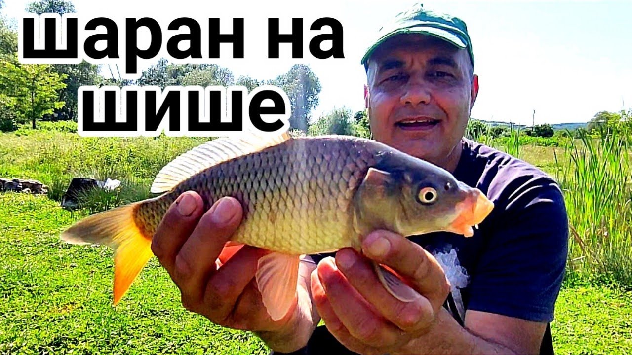 РИБОЛОВ НА ШАРАН С ШИШЕ И ЗВЪНЧЕ НА ДЪНО! ЕДИН ПОЗАБРАВЕН МЕТОД ОТ НАШЕТО ДЕТСТВО, КОЙТО РАБОТИ СЕГА