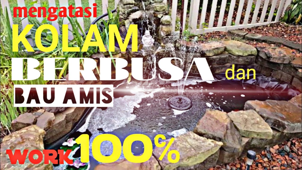 Penyebab dan Cara Mengatasi kolam ||ikan koi|| yang BERBUSA dan BAU AMIS