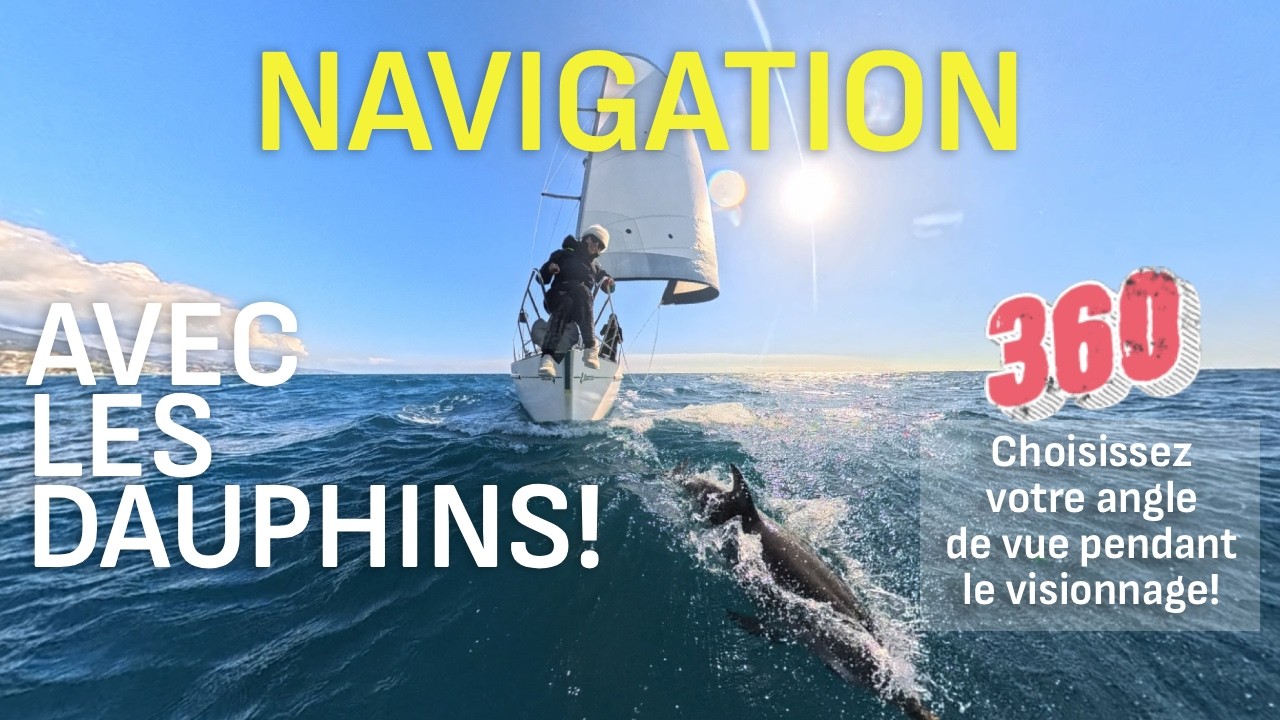 Navigation INCROYABLE avec des Dauphins en video 360 degres! Choisissez votre angle de vue en live!