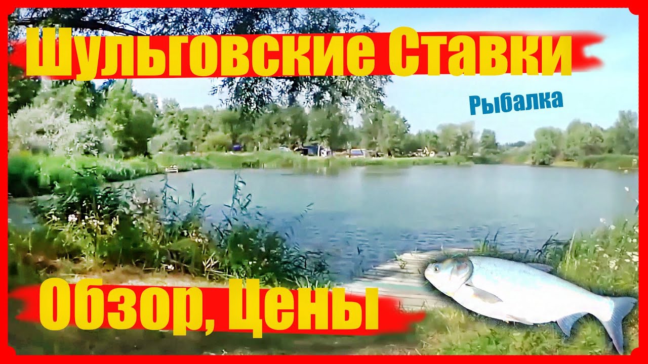 🚙 с. Шульговка ПОДРОБНЫЙ ОБЗОР. ЦЕНЫ 💵🎣ПОЙМАЛ ОГРОМНОГО🐟ТОЛСТОЛОБА 🐟 Шульговские ставки