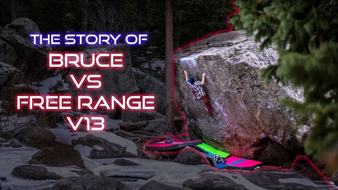 The Story of Bruce vs Free Range V13