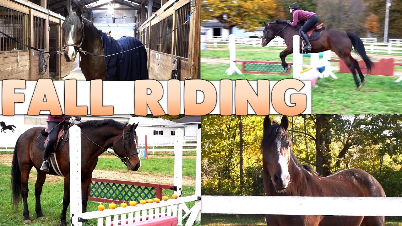 Fall Riding! - Jumping Lesson with Pumpkin Challenge 🎃