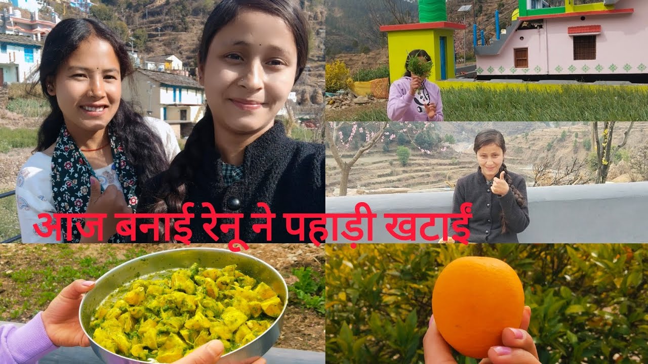 पहली बार इतने बड़े खेत में आज सारा गोबर फेका हम दोनो ने 😱🫢 #phadilifestyle #pahadi #noni 