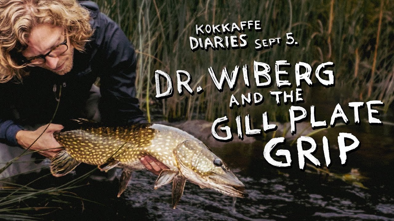 Fly fishing for Baltic River Pike.