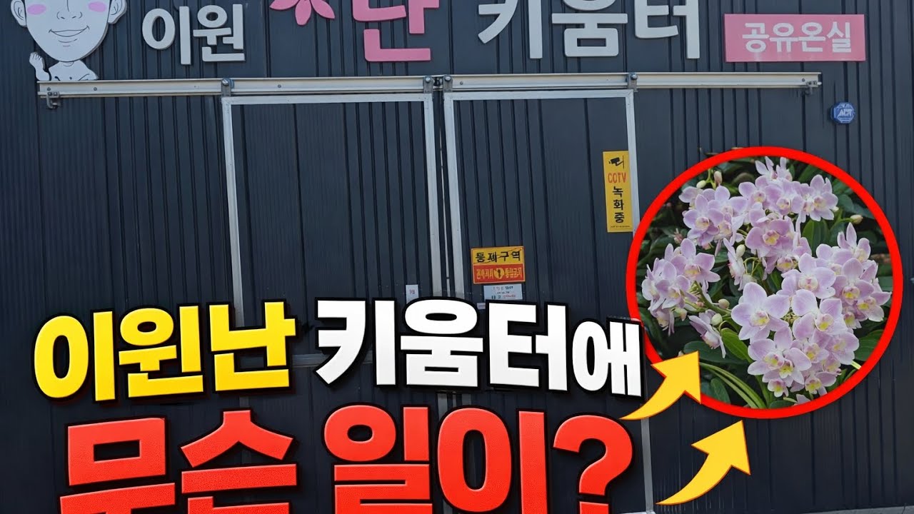 난키움터 둘러보기   