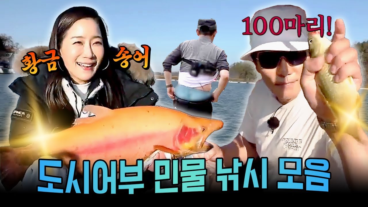 믿고 보는 꿀잼 폭발🤣 도시어부 민물 낚시 모음.zip | #도시어부