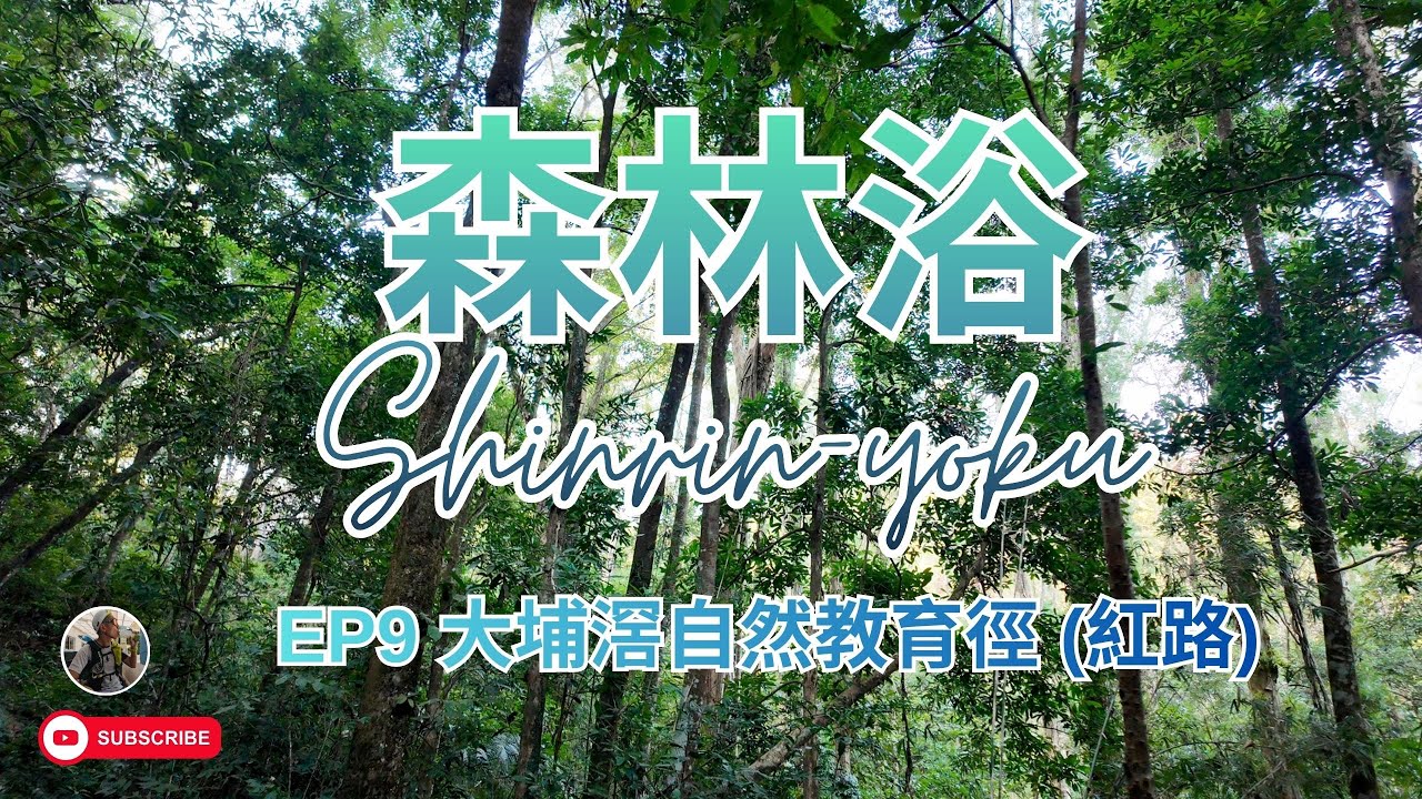 森林浴 EP9 | 大埔滘自然教育徑(紅路) | Shinrin Yoku (Forest Bathing) | 18 Jan 2026  🌲🌳🚿😌
