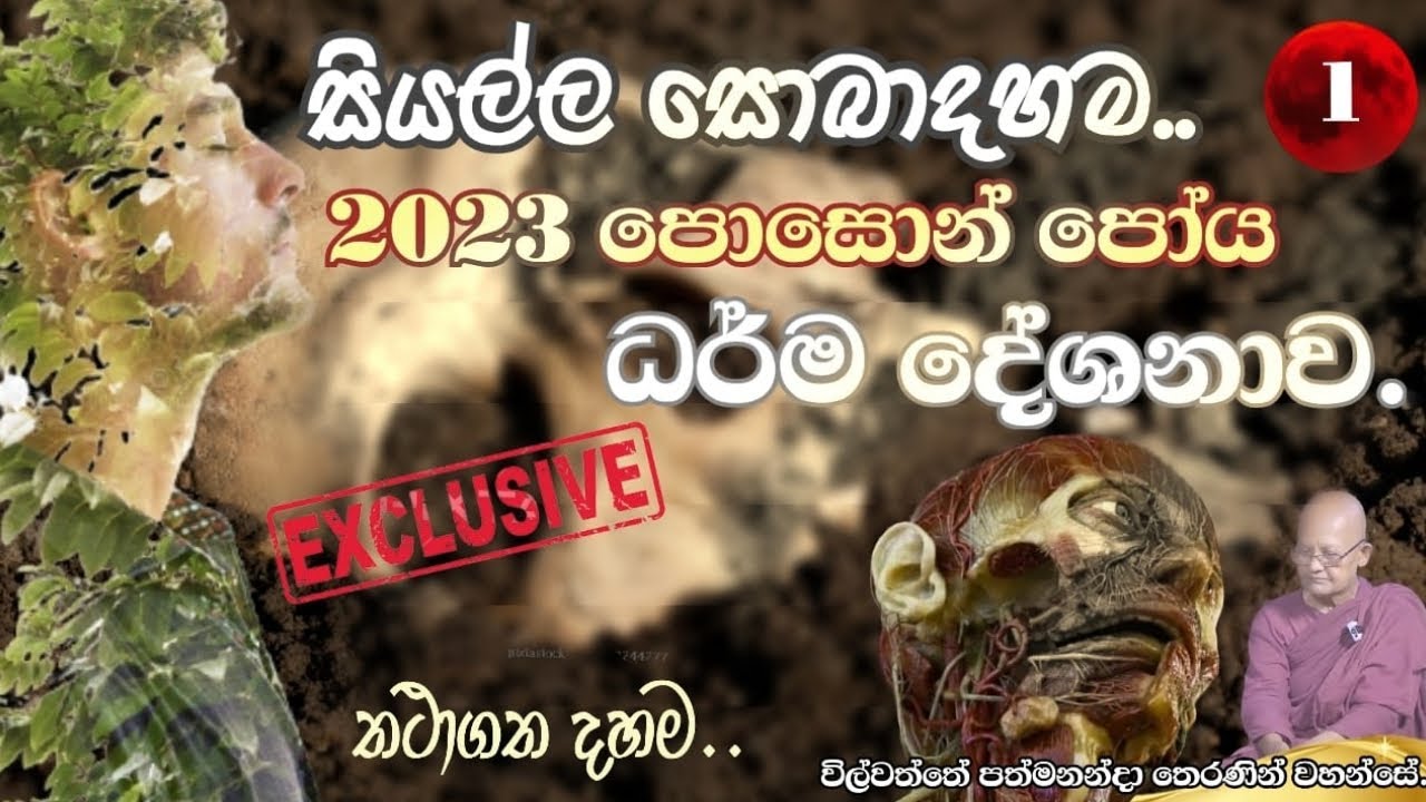 Wilwaththe PathmaNanda Theraniyo.