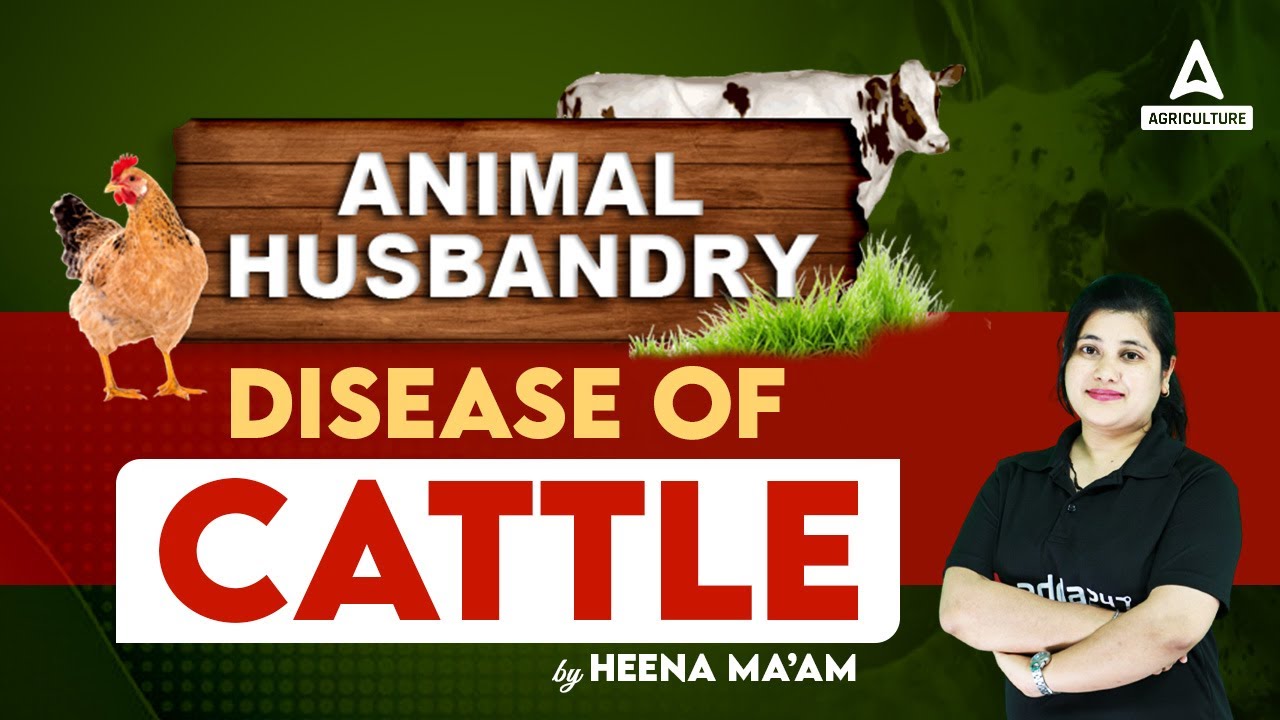 Diseases of Cattle | Animal Husbandry | Short Concepts Animal Husbandry | By Heena Mam