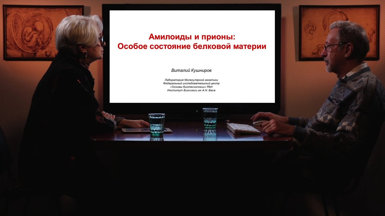 «Амилоиды и прионы: особое состояние белковой материи». Гость: Кушниров В.В.
