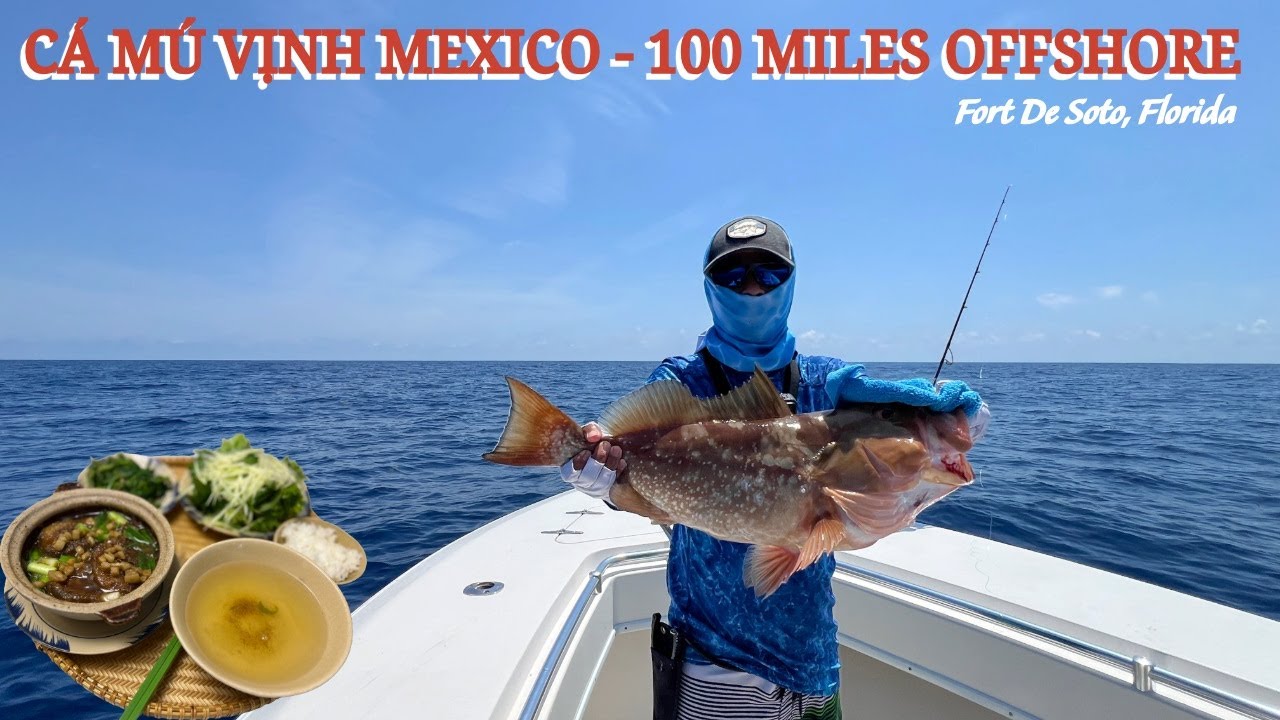 CÂU CÁ MÚ VỊNH MEXICO GIẬT MỎI TAY - Red Grouper Fishing 100 miles Offshore from Tampa Florida