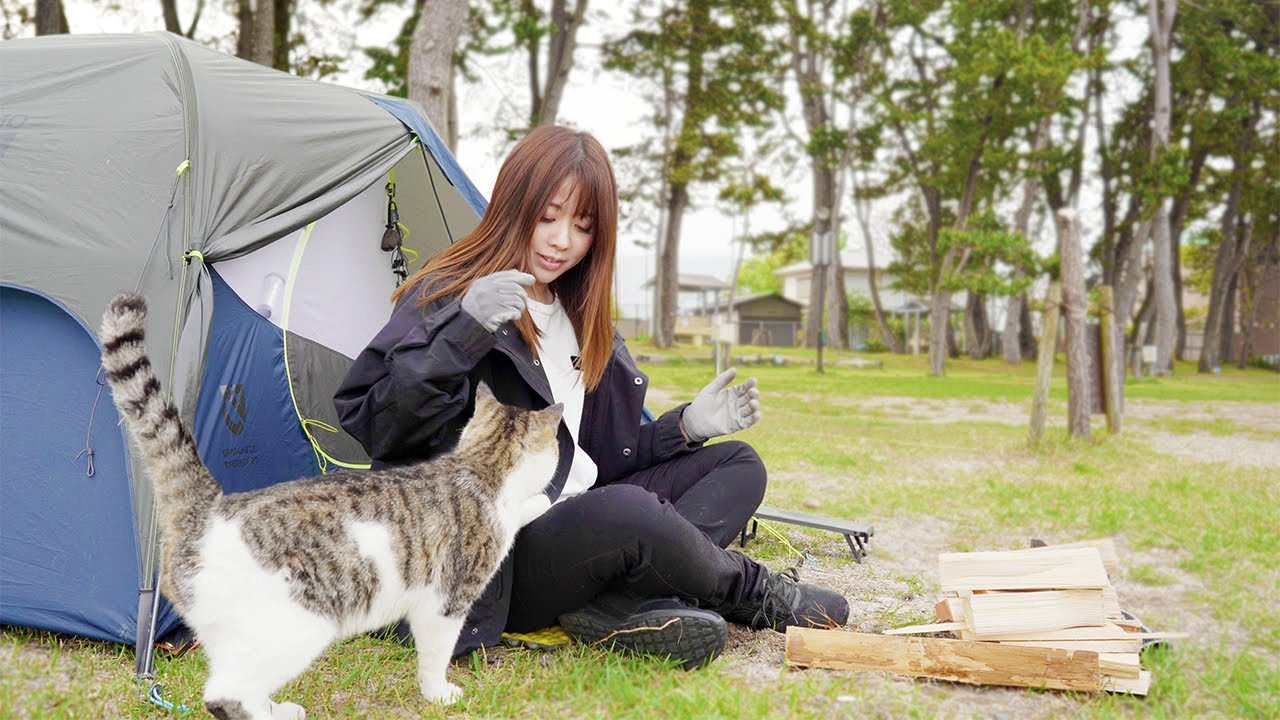 [субтитры]甘えてくる野良猫とキャンプ