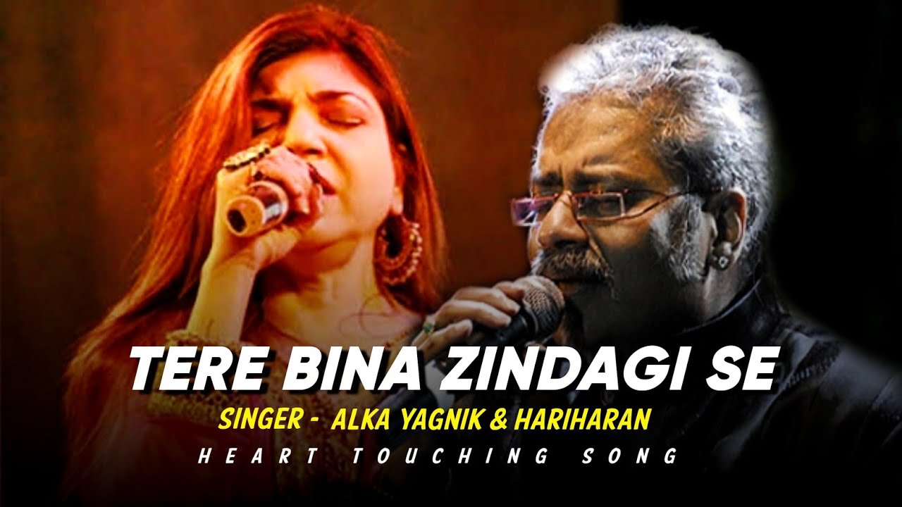 Tere Bina Zindagi Se Koi Shikwa To Nahi - Alka Yagnik, Hariharan | Dil Vil Pyar Vyar