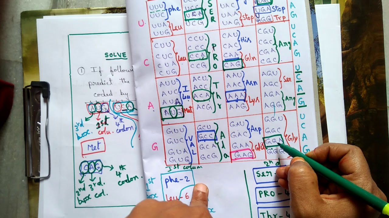 Genetic code - 3 simple tricks to solve NEET questions in few seconds