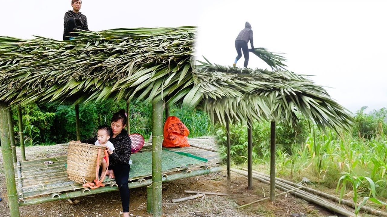 Forest Survival Lệ Thủy Reaches a Turning Point with the Bamboo Roof