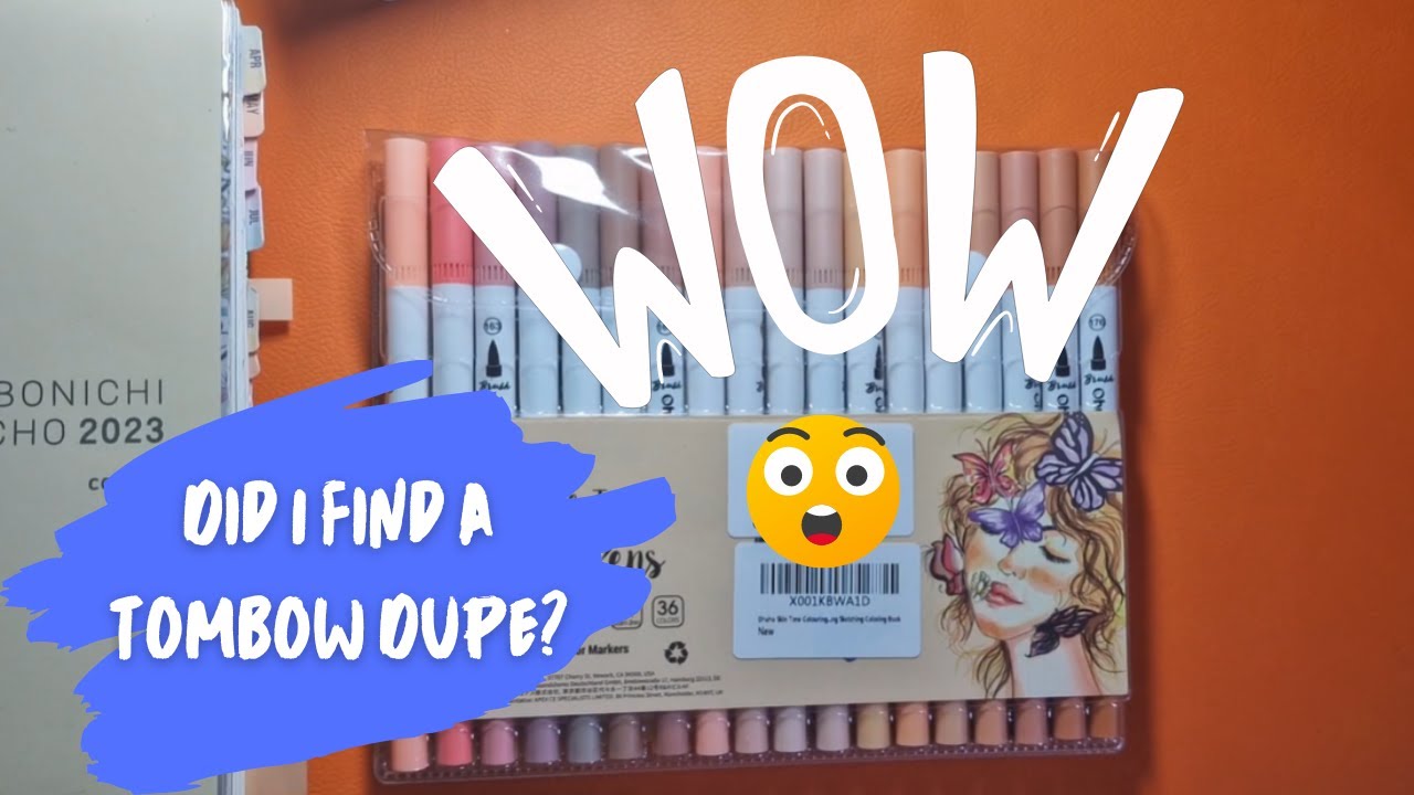 Tombow Dupe? | Ohuhu Brush Markers Skin Tones | Pen testing in Wonderland 222