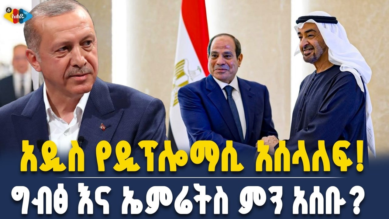 የአል-ሲሲ እና ቢን ዛይድ ሚስጥራዊ ስምምነት ለመካከለኛው ምስራቅ ምን ይዞ ይመጣ ይሆን || Ahadu TV :