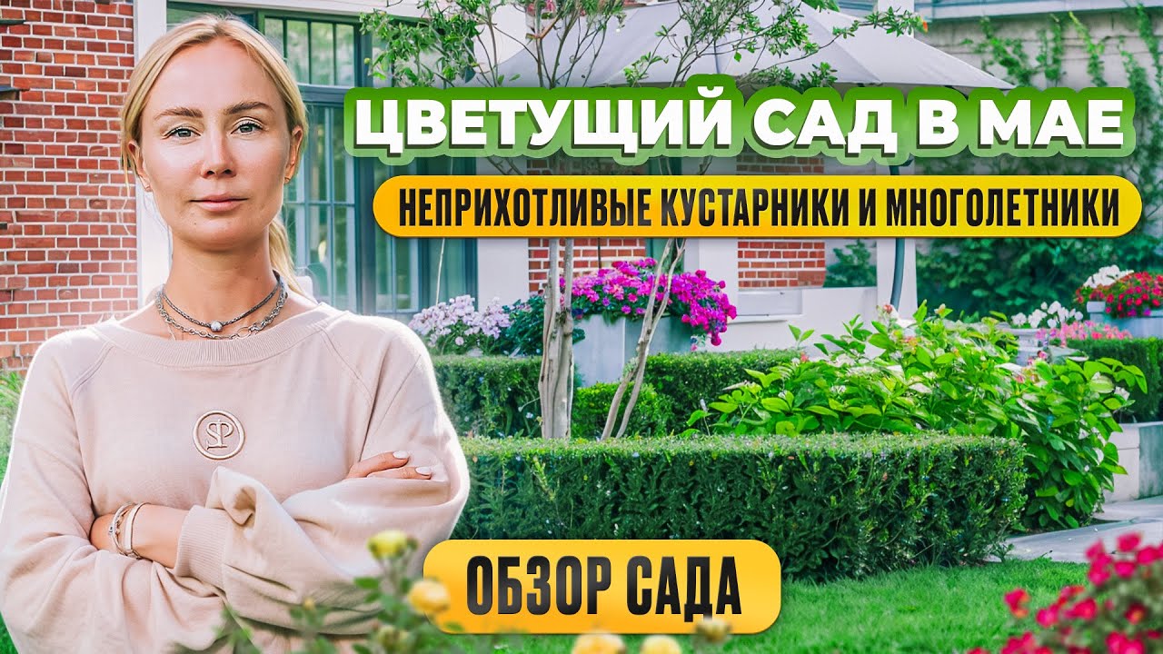 Цветущий сад в мае. Неприхотливые кустарники и многолетники.