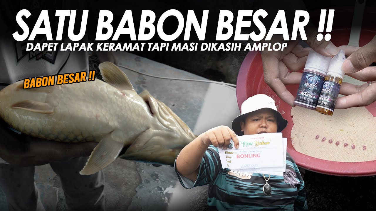 LULUS UJI DI LAPAK ANGKER !! SATU BABON BESAR TAKLUK PAKE UMPAN VIRAL || Am