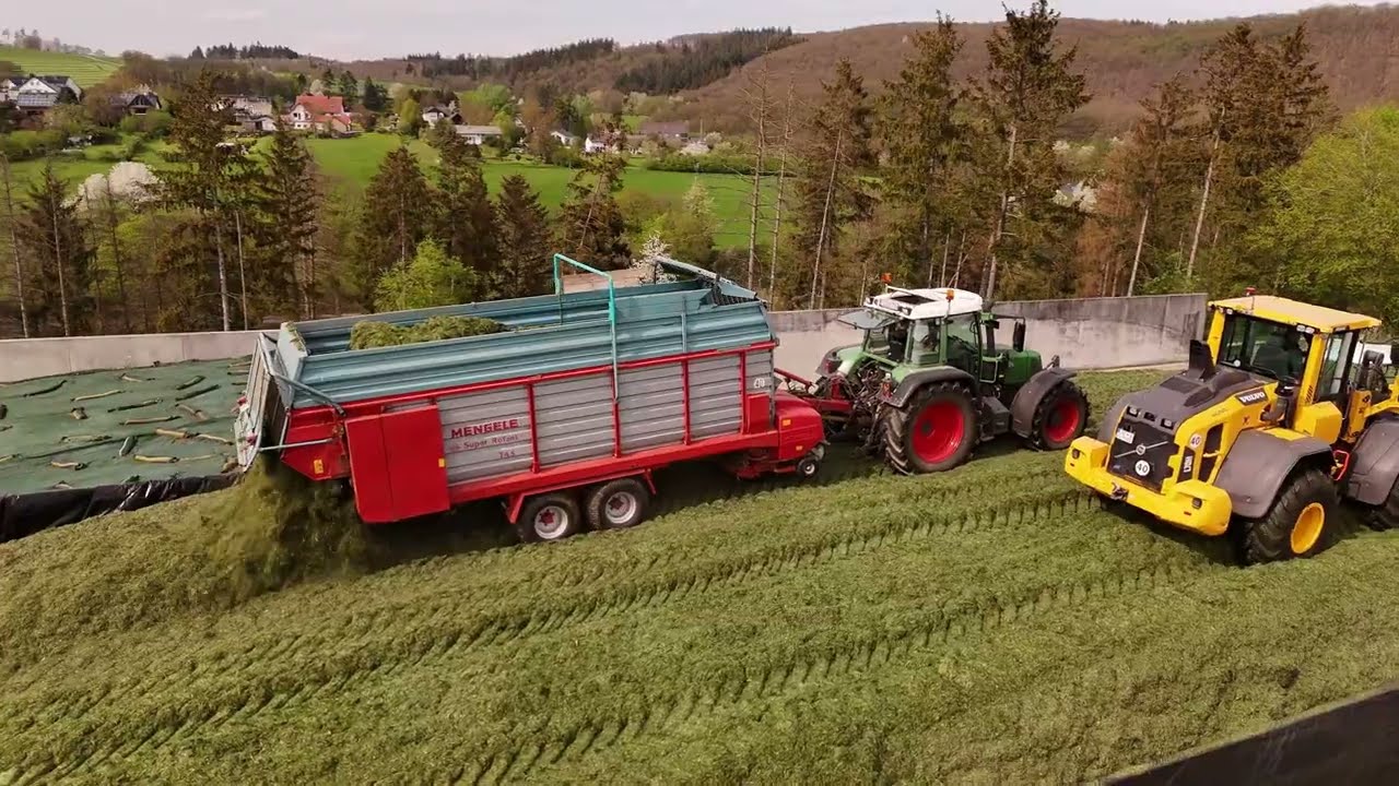Der erste Schnitt von 