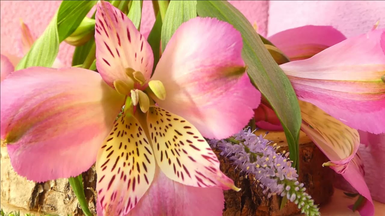 Ambient two. 3D sound. Listen with headphones music.