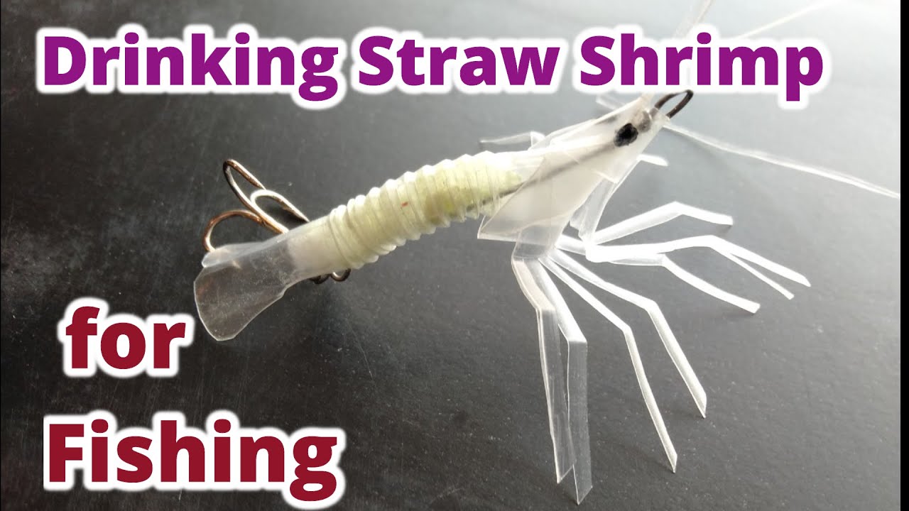 (BS工房)　ストローで作ったエビ型ルア－で魚釣り！