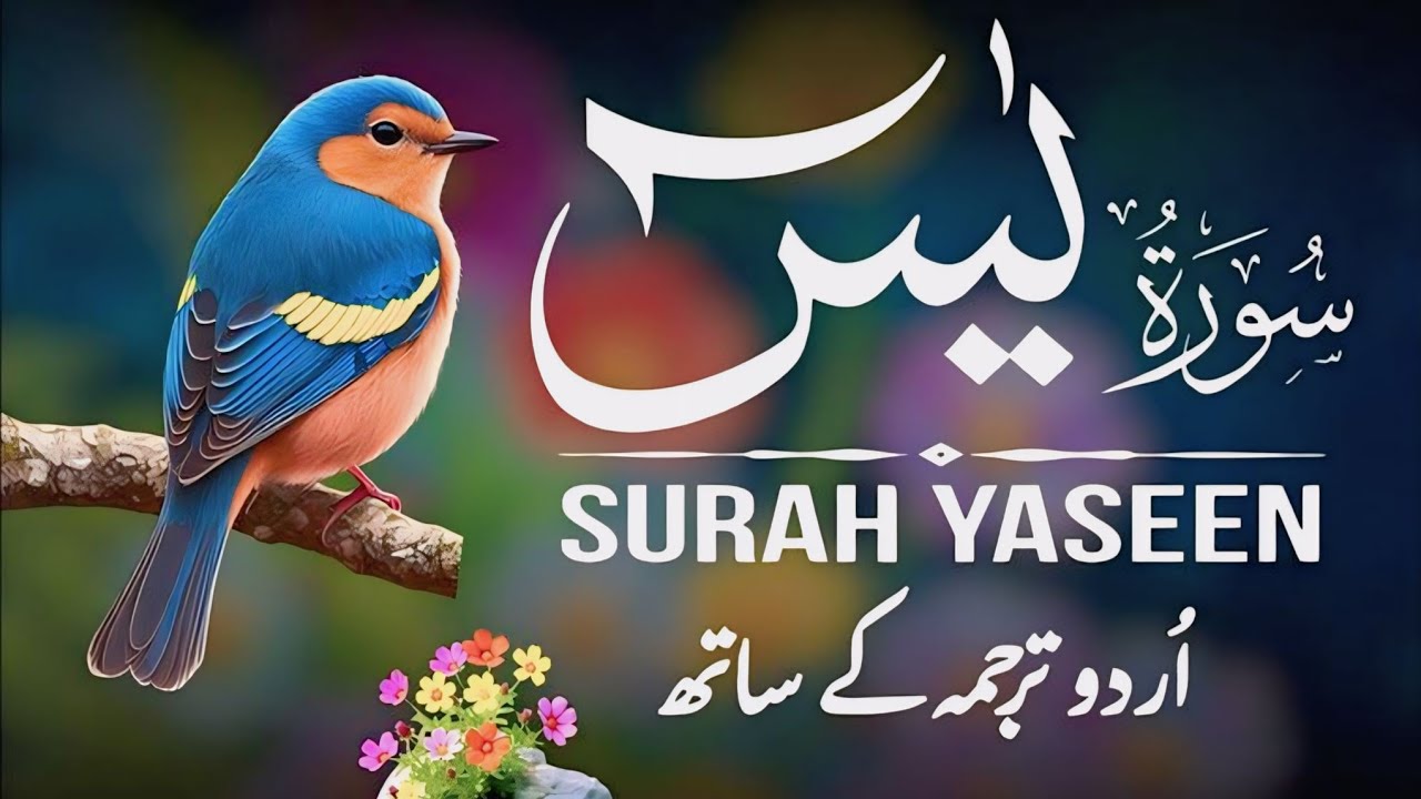 Surah Yaseen Full With Urdu English Hindi Translation | Surah Yasin Beautiful Tilawat | Quranwell110