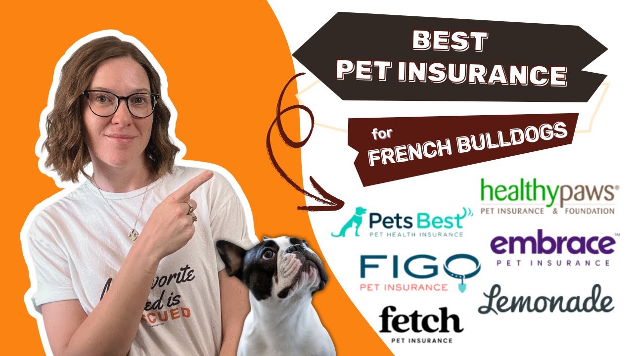 Best Pet Insurance For French Bulldogs: Our Expert's Top Picks & Review