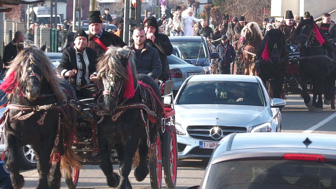 Parada cailor Vicovu de Sus - Bucovina 31 Decembrie 2023 - 2024