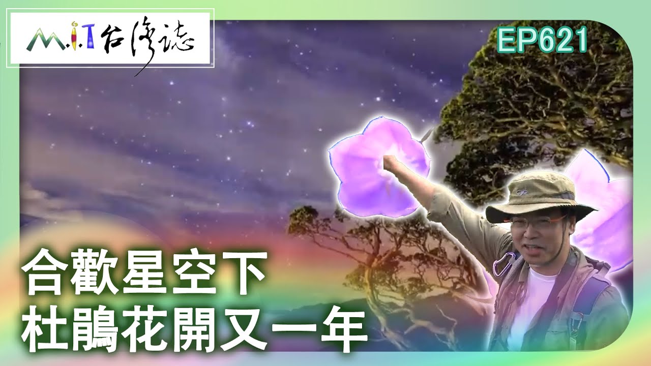 【MIT台灣誌 #621】合歡星空下 杜鵑花開又一年_20140511