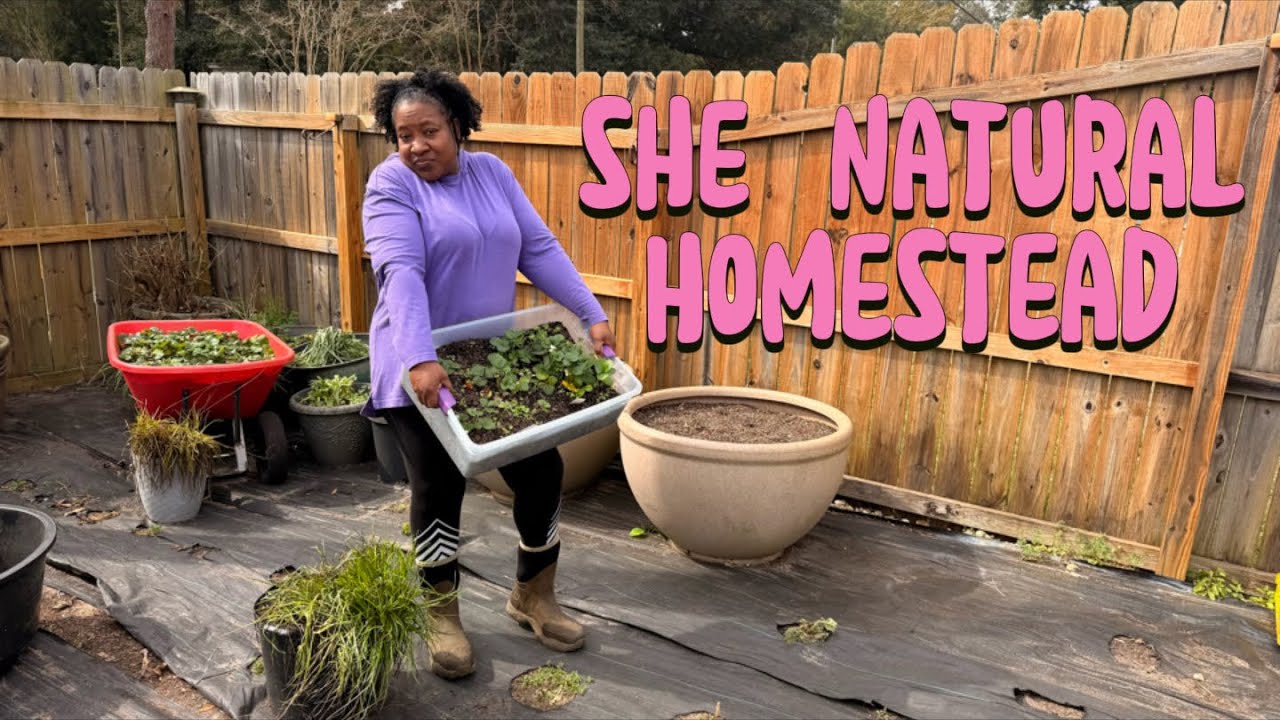 All over the place, trying to get this garden ready for spring!!! 