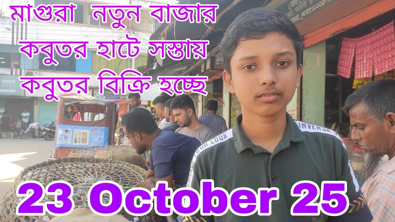 মাগুরা নতুন বাজার  হাটে ফেন্সি কবুতর অনেক। কবুতর পালন বাংলাদেশ। চঞ্চল মিডিয়া। 