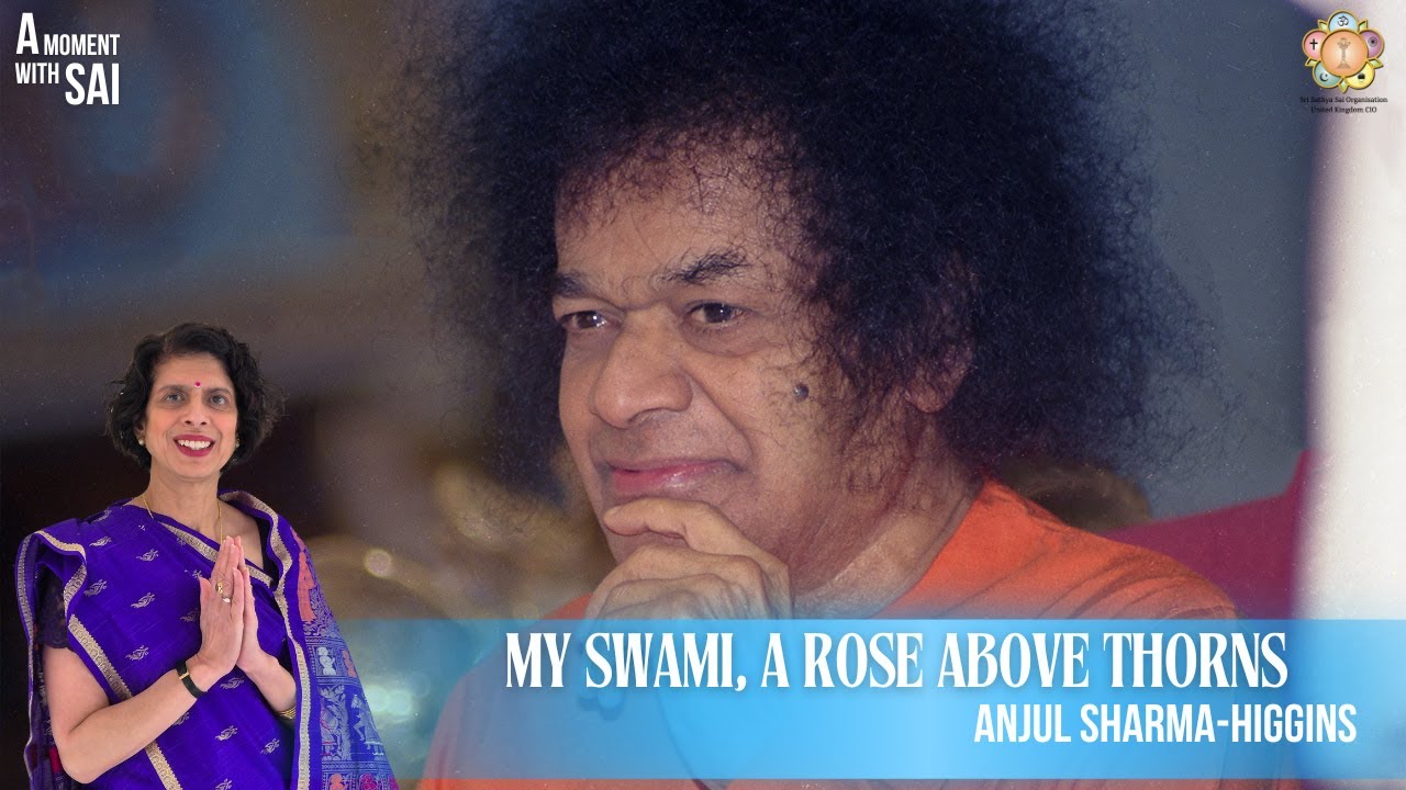 41 - My Swami, A Rose Above Thorns | A Moment with SAI