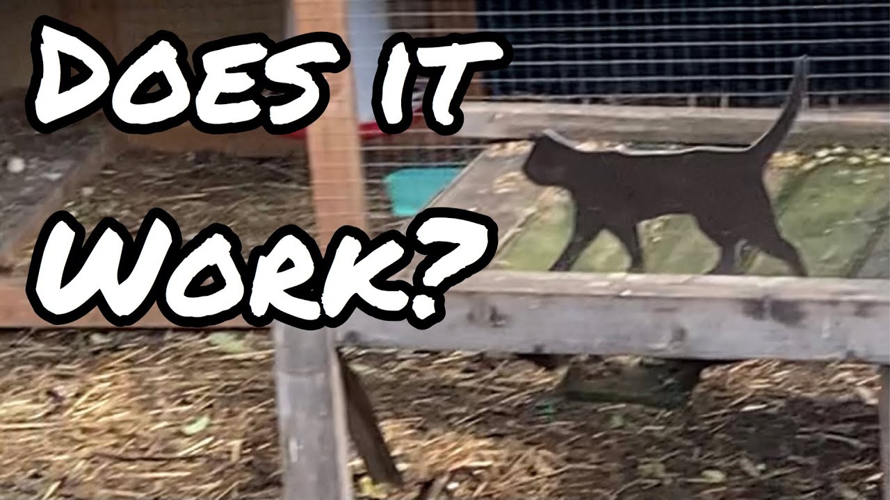 Homemade bird scare, Cat silhouettes to scare birds