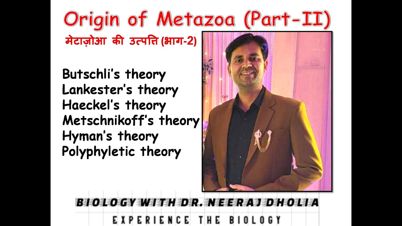 Origin of metazoa (Part II) मेटाज़ोआ की उत्पत्ति (भाग-2) Theories #metazoa #zoology #origin #biology