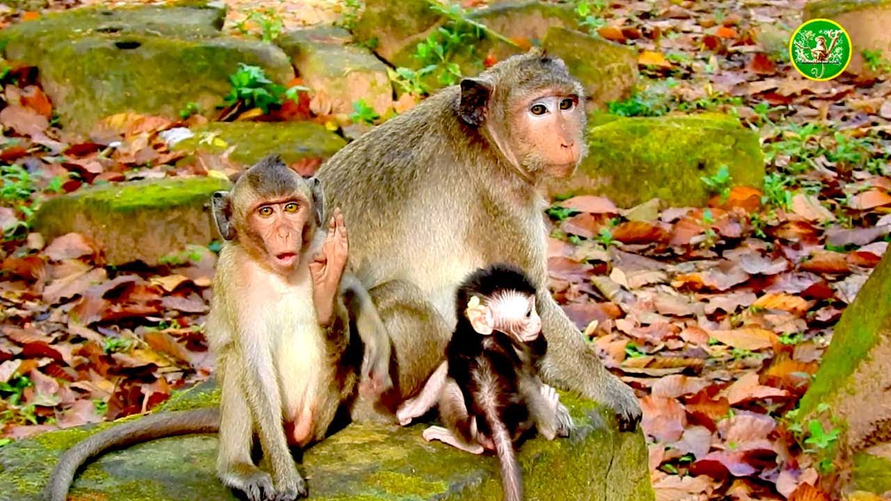 Heartwarming Moment as Jazzy and Loni Come to Welcome Baby Saket