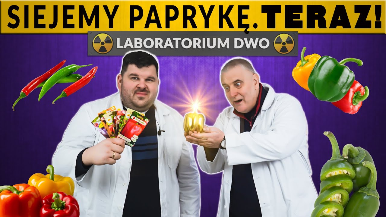 Wszystko o wysiewie papryki. Przegląd odmian i nowości na rok 2022. Laboratorium DWO#3