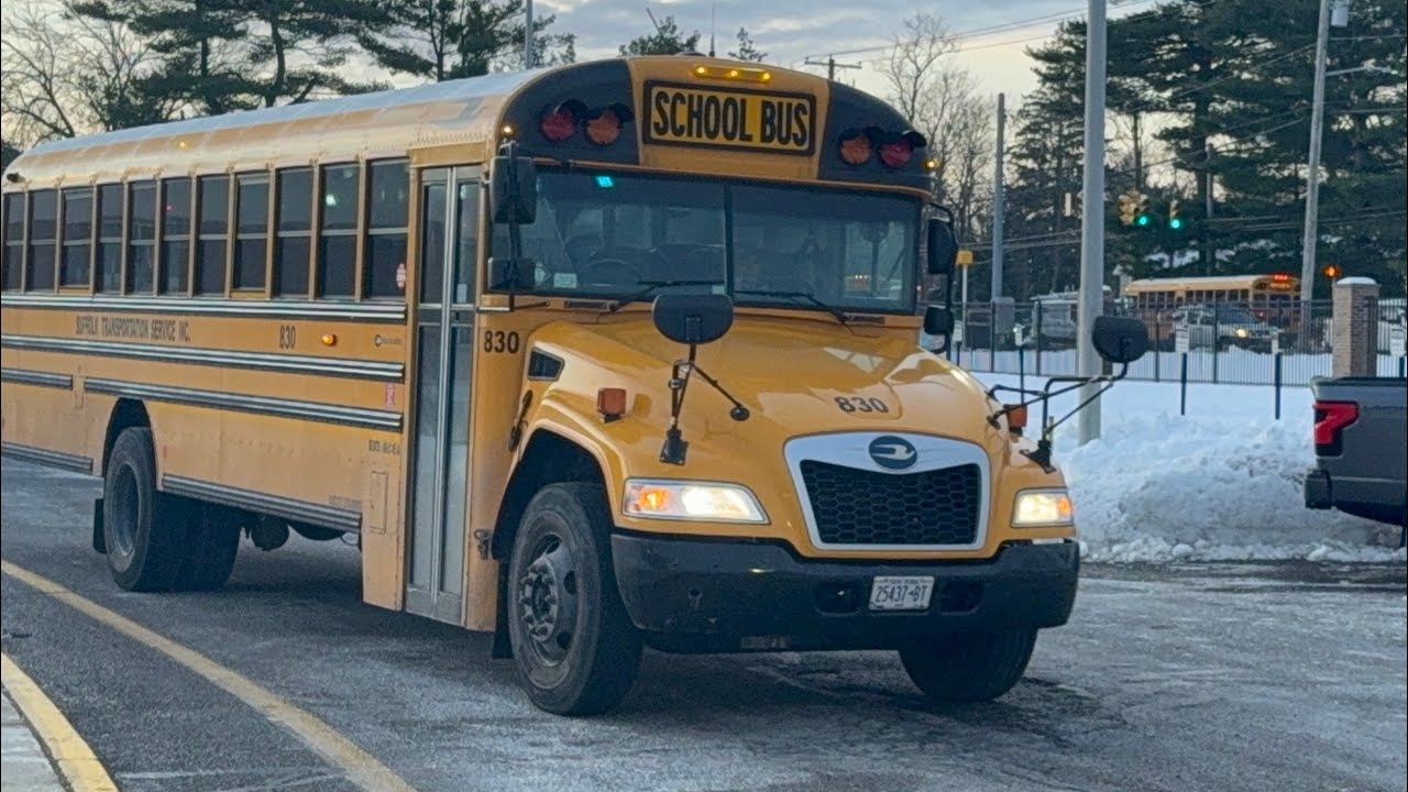 School Buses arriving at the School and Leaving 